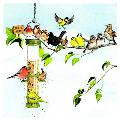 'Queue here' bird feeder greetings card product photo default T