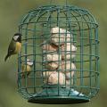 RSPB Suet feeder and guardian product photo default T