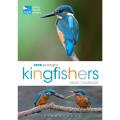 RSPB Spotlight kingfishers product photo default T