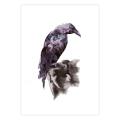 Raven on the rock mounted art print product photo default T