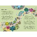 Rewild your garden: create a haven for birds, bees and butterflies product photo side T