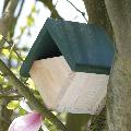 RSPB Robin and wren diamond nestbox product photo default T