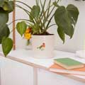 Robin plant pot, indoor ceramic planter product photo back T