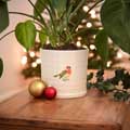 Robin plant pot, indoor ceramic planter product photo front T