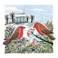 Robin cottage Christmas cards, pack of 10 product photo default T