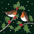 Robins and holly Christmas cards, pack of 10 product photo default T