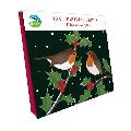 Robins and holly Christmas cards, pack of 10 product photo side T