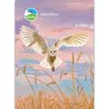 RSPB Illustrated birds diary 2025, A6 product photo default T