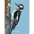 RSPB illustrated A6 diary 2026 product photo default T