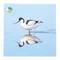 RSPB Avocet microfibre lens cleaning cloth product photo side T