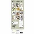 RSPB Birds in watercolour calendar 2025 product photo back T