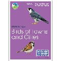 Birds of towns & cities identifier chart - RSPB ID Spotlight series product photo default T