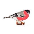 RSPB Bullfinch pin badge product photo default T