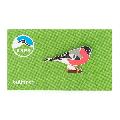 RSPB Bullfinch pin badge product photo side T