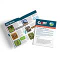 RSPB Cluedo special edition product photo front T