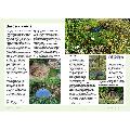 RSPB Everyday guide to British wildlife product photo side T