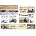 RSPB Everyday guide to British wildlife product photo front T