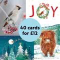 Fab 40 bumper pack of Christmas Cards product photo side T