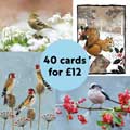 Fab 40 bumper pack of Christmas Cards product photo back T