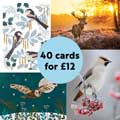 Fab 40 bumper pack of Christmas Cards product photo front T