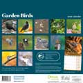 RSPB Garden birds calendar 2026 product photo back T