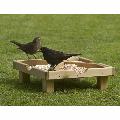 RSPB Ground feeding table product photo front T