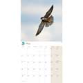 RSPB Heathland wildlife calendar 2026 product photo side T