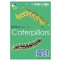 RSPB ID Spotlight - Caterpillars product photo default T