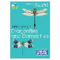 Dragonflies and damselflies identifier chart - RSPB ID Spotlight series product photo default T