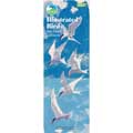 RSPB Illustrated birds calendar 2026 product photo default T