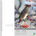 RSPB Inspiring nature calendar 2025 product photo side T