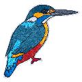 RSPB Kingfisher sew-on embroidered patch product photo side T