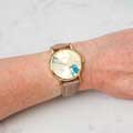 RSPB Kingfisher and dragonfly watch product photo front T