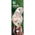 RSPB Owls calendar 2026 product photo default T