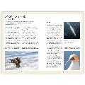 RSPB Pocket book of bird anatomy product photo back T