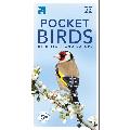 RSPB Pocket birds of Britain 5th edition product photo default T