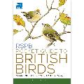 RSPB Pocket guide to British birds product photo default T