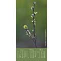 RSPB Pocket diary with photo cover 2026 product photo back T