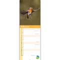 RSPB Robins calendar 2025 product photo side T