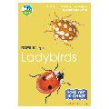 RSPB ID Spotlight - Ladybirds product photo default T