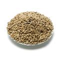 Premium sunflower hearts bird seed 5.5kg product photo back T