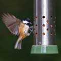 RSPB Ultimate easy-clean® cheater bird feeder, small product photo back T