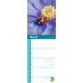 RSPB Wildlife calendar 2026 product photo side T