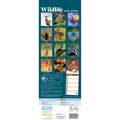 RSPB Wildlife calendar 2026 product photo back T