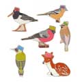 Wildwood recycled Christmas crackers with RSPB pin badges, box of six product photo ai5 T