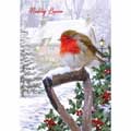 Rustic Robin Welsh Christmas cards, pack of 10 product photo default T