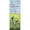 RSPB Scenic countryside calendar 2025 product photo default T