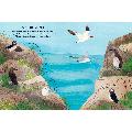 Seaside activity and sticker book by RSPB product photo side T
