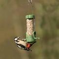 RSPB Classic easy-clean seed feeder - small product photo default T
