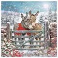 Snuggling Donkeys Christmas cards, pack of 10 product photo default T